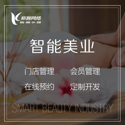 定西智能美业