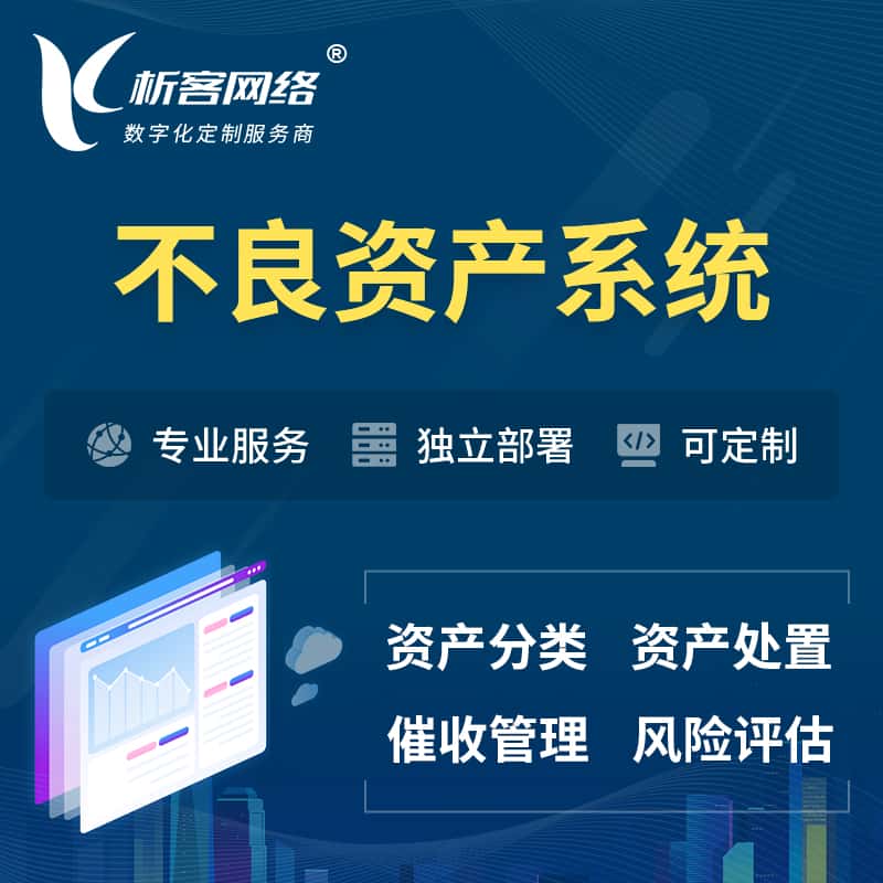 定西不良资产管理系统