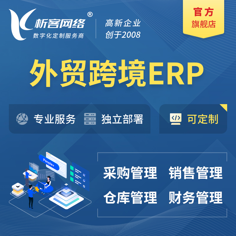 定西外贸跨境ERP软件生产海外仓ERP管理系统