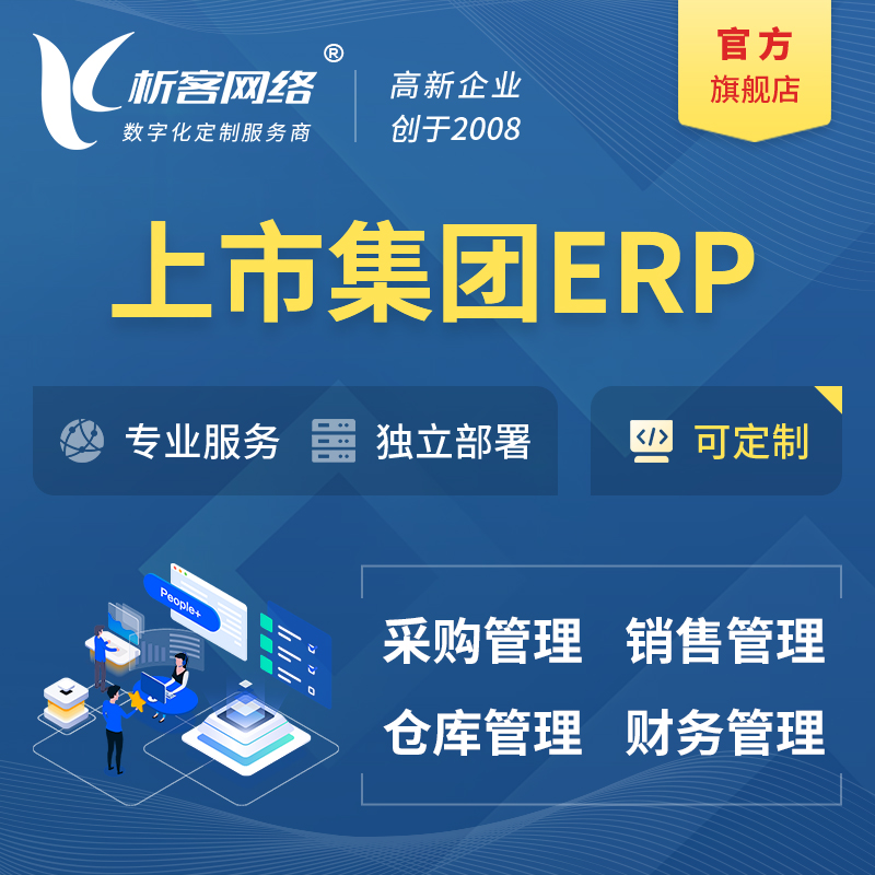 定西上市集团ERP软件生产MES车间管理系统